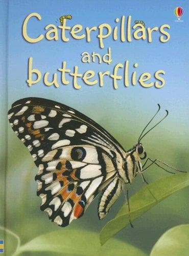 Cover of Caterpillars and Butterflies