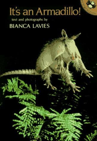 Cover of It's an Armadillo!