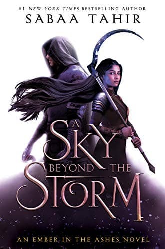 Cover of A Sky Beyond the Storm