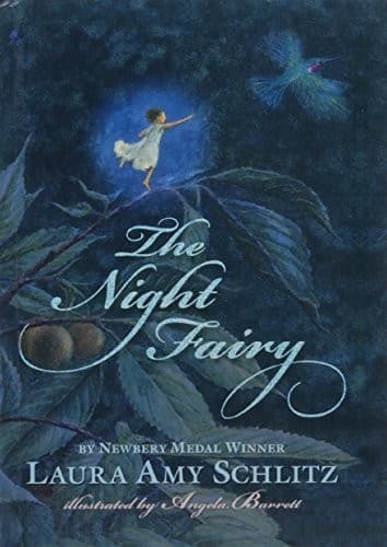 Cover of The Night Fairy