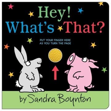 Cover of Hey! What's That?