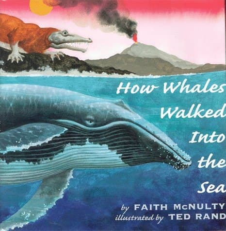 Cover of How Whales Walked Into the Sea