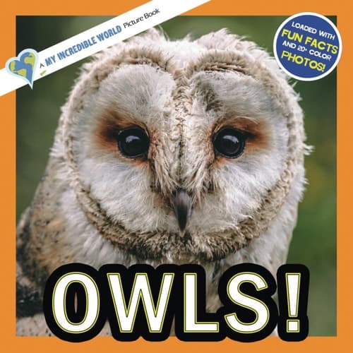 Cover of Owls!