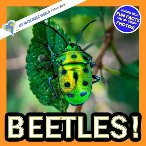 Cover of Beetles!