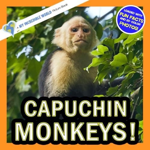 Cover of Capuchin Monkeys!: A My Incredible World Picture Book for Children