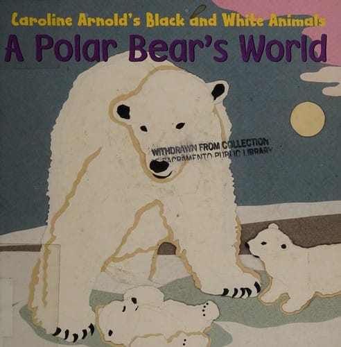 Cover of Polar Bear's World