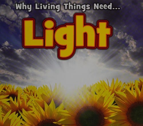 Cover of Why Living Things Need Light