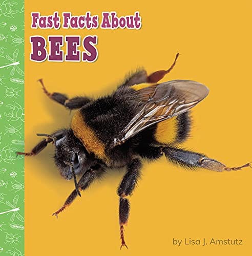 Cover of Fast Facts about Bees