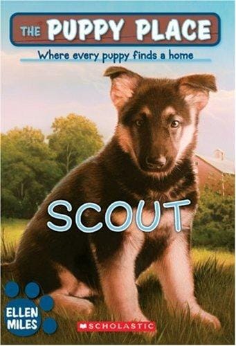 Cover of Scout