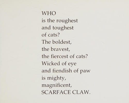 Cover of Scarface Claw