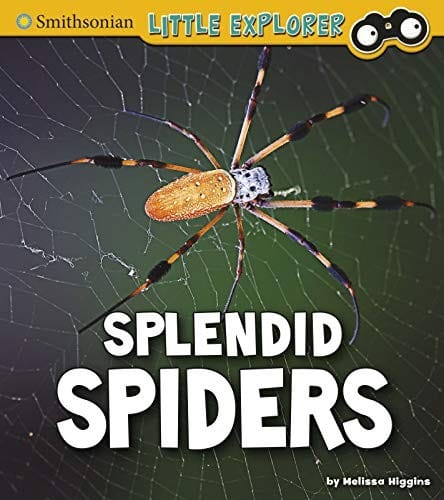 Cover of Splendid Spiders