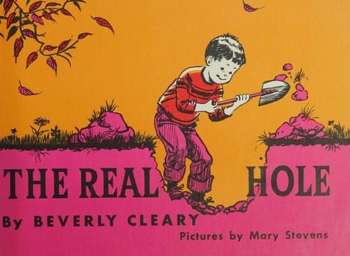 Cover of The Real Hole