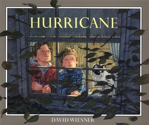 Cover of Hurricane