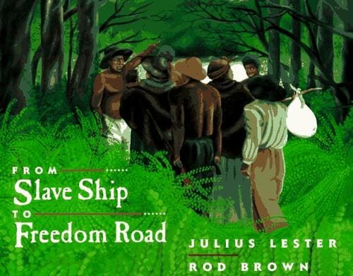 Cover of From Slave Ship to Freedom Road