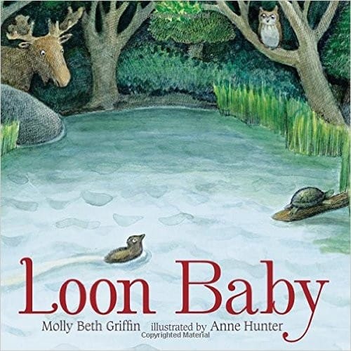 Cover of Loon Baby