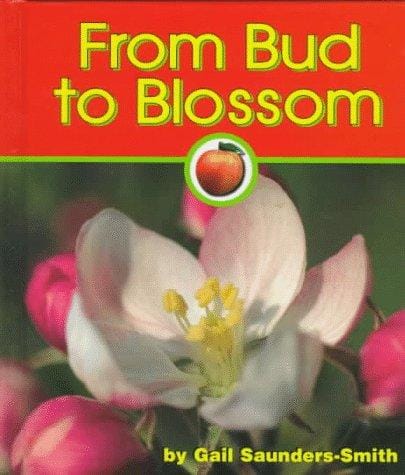Cover of From Bud to Blossom