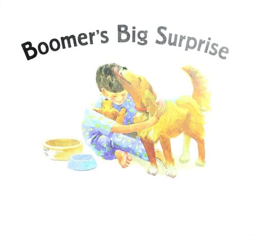 Cover of Boomer's Big Surprise