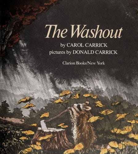 Cover of The Washout