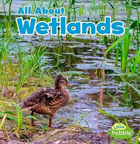 Cover of All about Wetlands