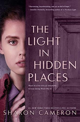 Cover of The Light In Hidden Places