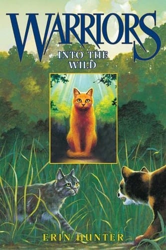Cover of Into the Wild