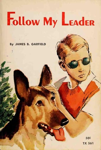 Cover of Follow My Leader