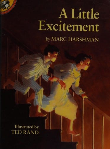 Cover of A Little Excitement