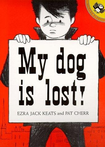 Cover of My Dog is Lost!