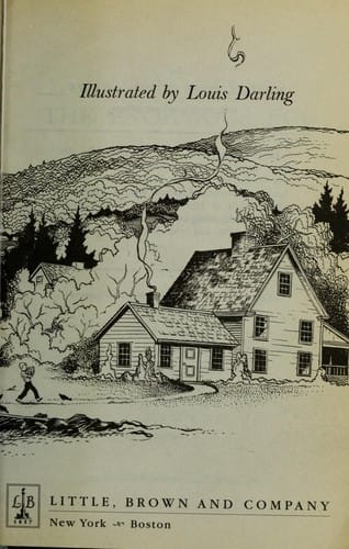 Cover of The Enormous Egg