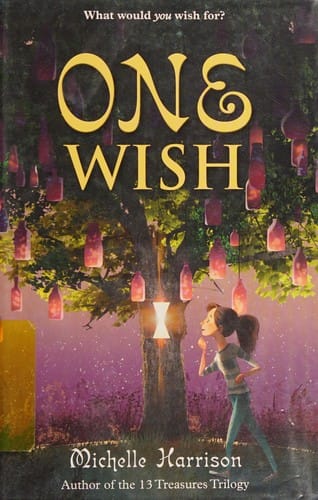 Cover of One Wish