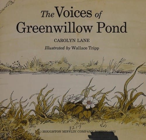 Cover of The Voices of Greenwillow Pond
