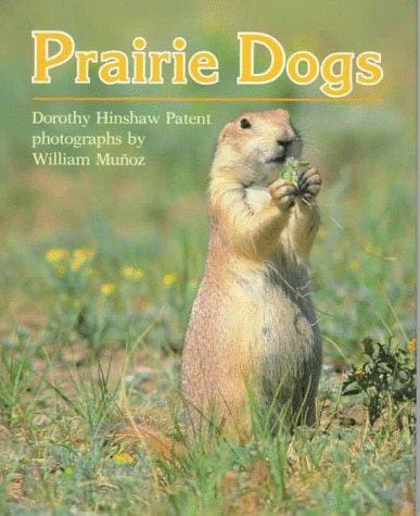 Cover of Prairie Dogs