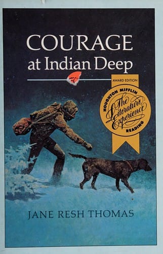 Cover of Courage at Indian Deep