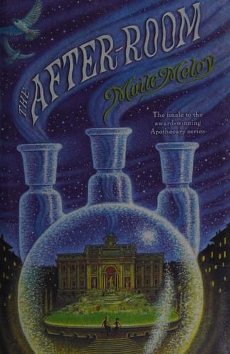 Cover of The After-Room
