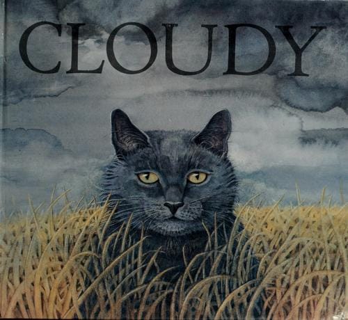 Cover of Cloudy