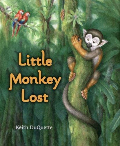 Cover of Little Monkey Lost