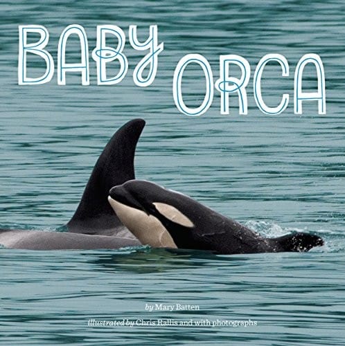 Cover of Baby Orca