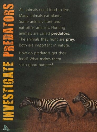 Cover of On the Prowl How Animals Hunt