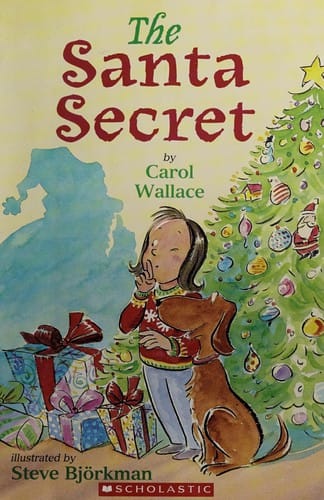 Cover of The Santa Secret
