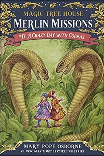 Cover of A Crazy Day with Cobras