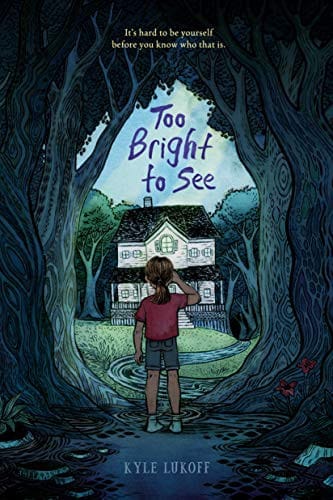 Cover of Too Bright to See