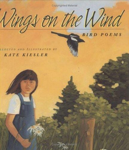 Cover of Wings on the Wind Bird Poems