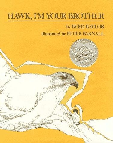 Cover of Hawk, I'm Your Brother