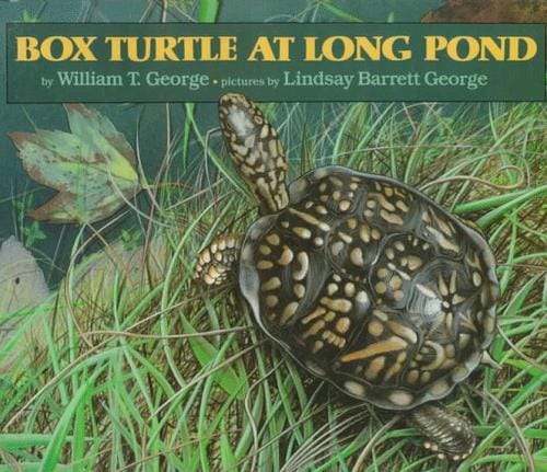 Cover of Box Turtle at Long Pond