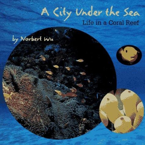 Cover of A City Under the Sea Life in a Coral Reef