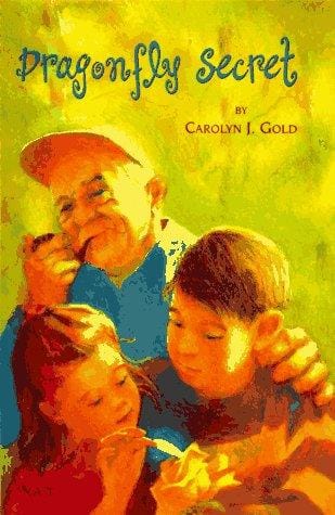 Cover of Dragonfly Secret