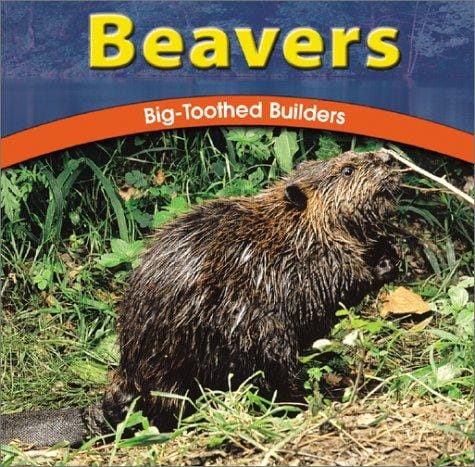 Cover of Beavers: Big-Toothed Builders