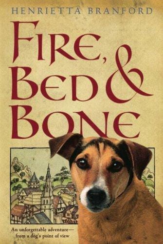 Cover of Fire, Bed, and Bone