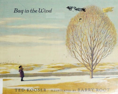 Cover of Bag in the Wind