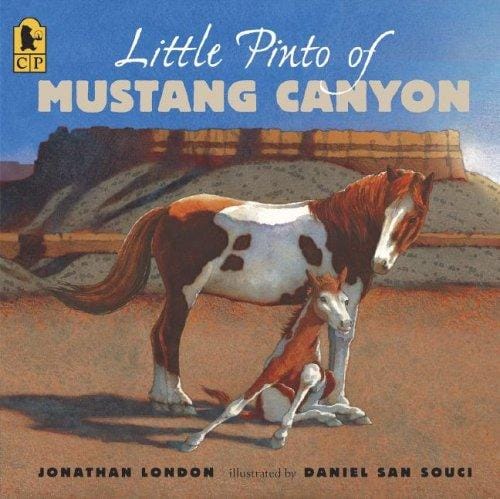 Cover of Little Pinto of Mustang Canyon